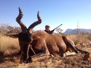 Red Hartebeest Hunting