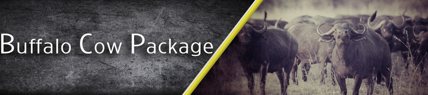 Buffalo-Cow-Package